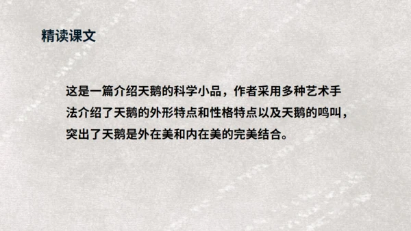 《天鹅》布丰天鹅湖通用PPT课件