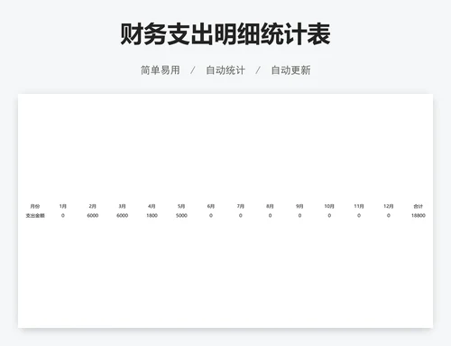 财务支出明细统计表