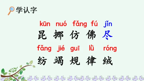 22小毛虫  课件