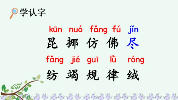 22小毛虫  课件
