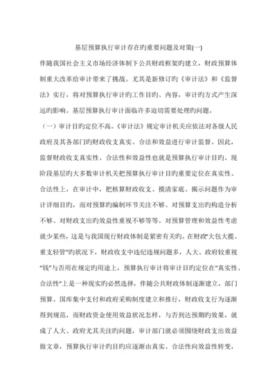 基层预算执行审计存在的主要问题及对策.docx