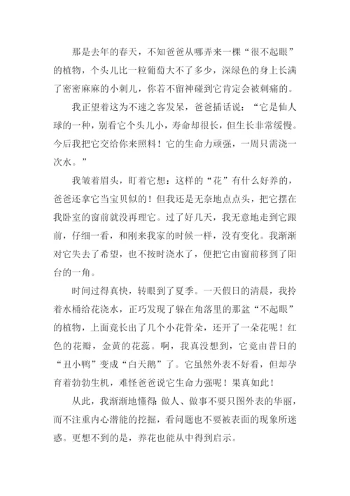 真没想到作文500字.docx