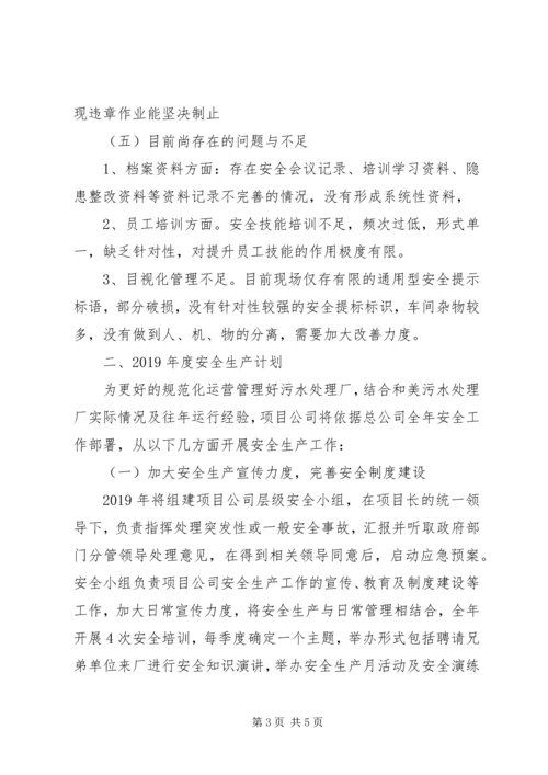 污水处理安全生产工作总结及XX年安全生产工作计划.docx