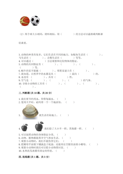教科版一年级下册科学期末测试卷含答案（巩固）.docx