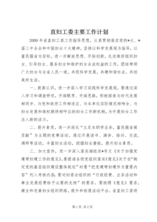 直妇工委主要工作计划.docx