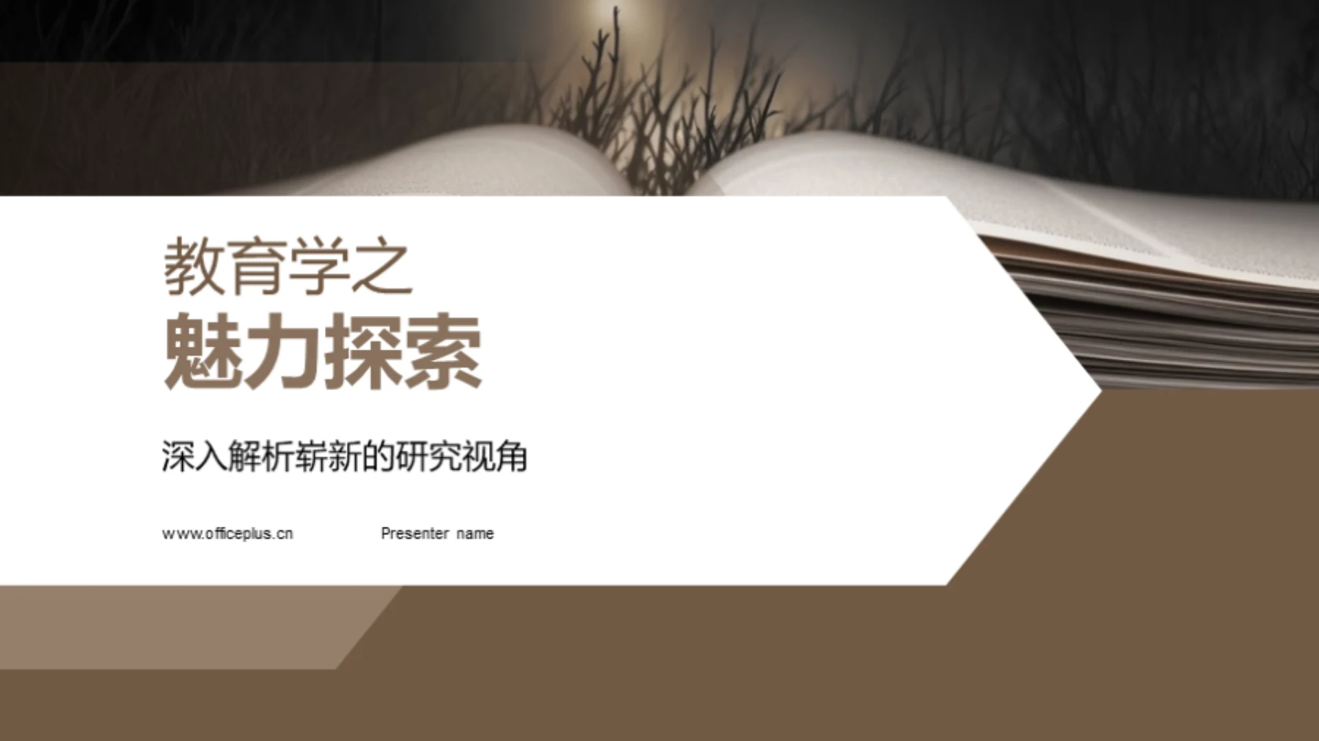 教育学之魅力探索