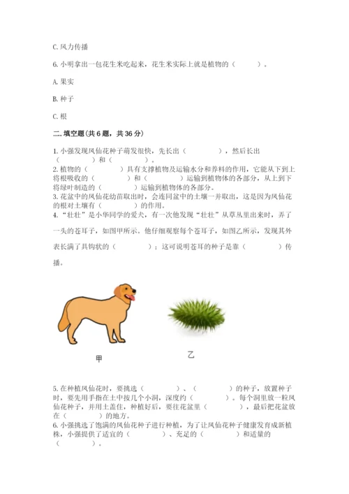 教科版四年级下册科学第一单元《植物的生长变化》测试卷【名校卷】.docx