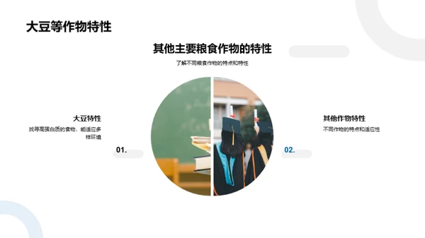 粮食作物深度解析