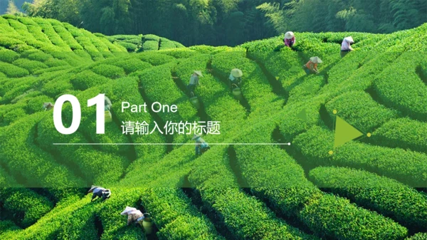 茶道茶文化中国风通用PPT模版