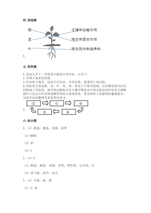 科学四年级下册第一单元《植物的生长变化》测试卷及参考答案（能力提升）.docx