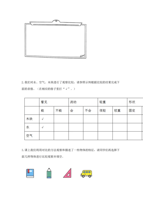 教科版一年级下册科学期末测试卷精品【典优】.docx