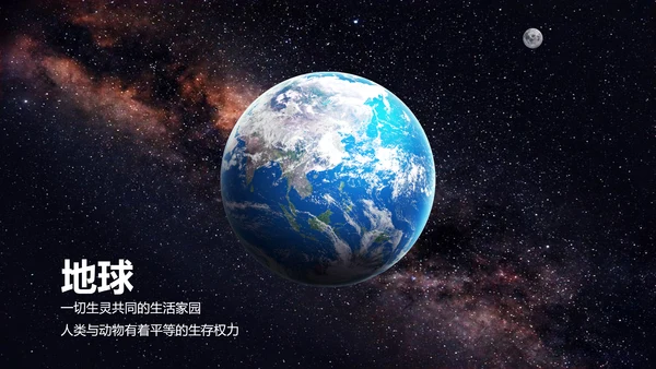 保护野生动物老虎PPT模板