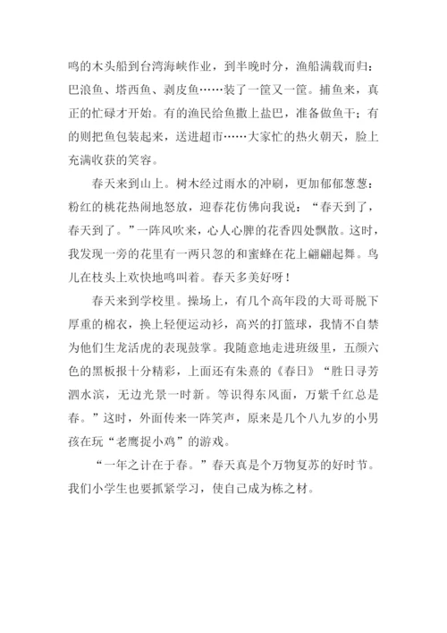 有关描写春天的作文.docx