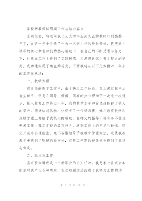 学校新教师试用期工作总结内容.docx