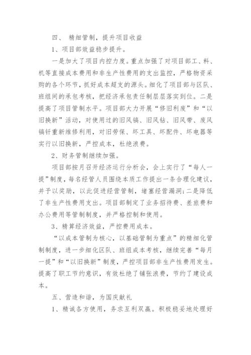 项目书记述职报告.docx