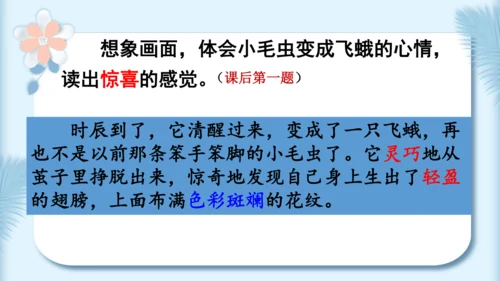 22.小毛虫（第二课时）教学课件