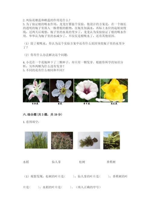 教科版四年级下册科学第一单元《植物的生长变化》测试卷精编答案.docx