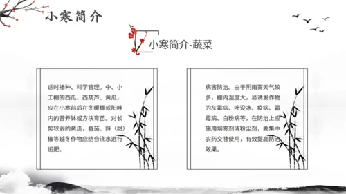 小寒节气冬季江雪通用PPT模板