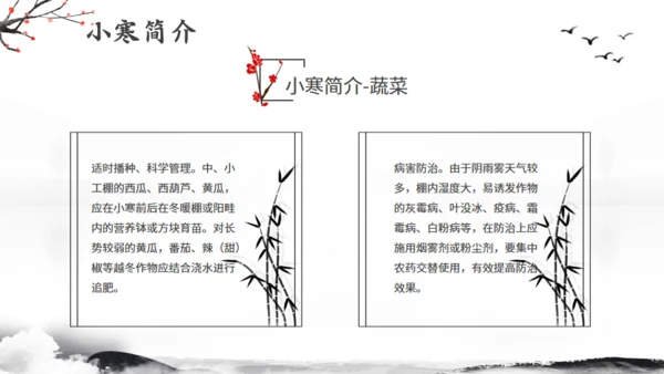 小寒节气冬季江雪通用PPT模板