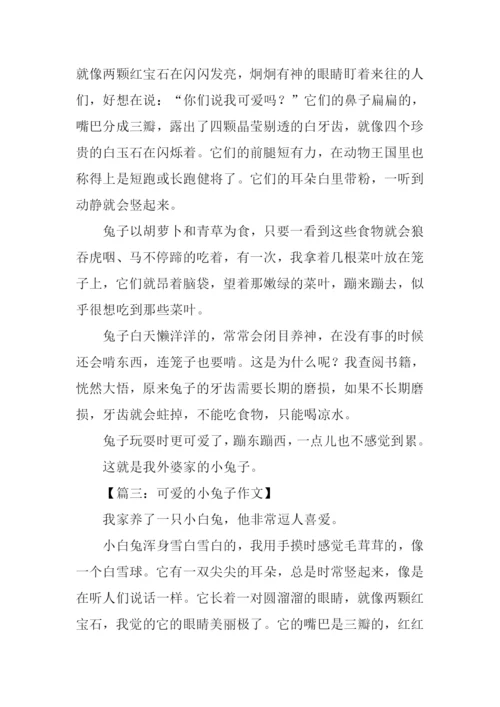 可爱的小兔子作文350字.docx