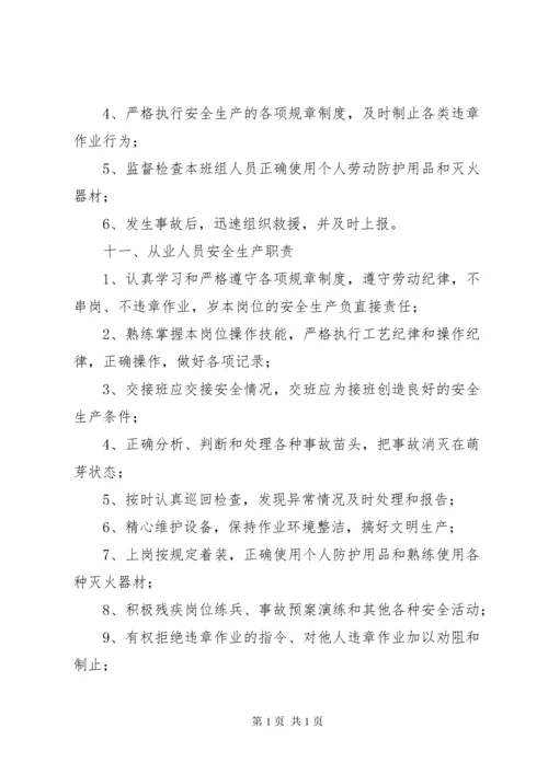 安全三项制度之安全生产责任制 (4).docx