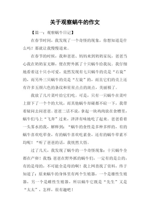 关于观察蜗牛的作文.docx