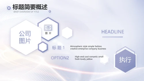 医美招商加盟工作总结动态PPT