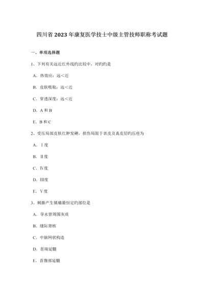 2023年四川省康复医学技士中级主管技师职称考试题.docx