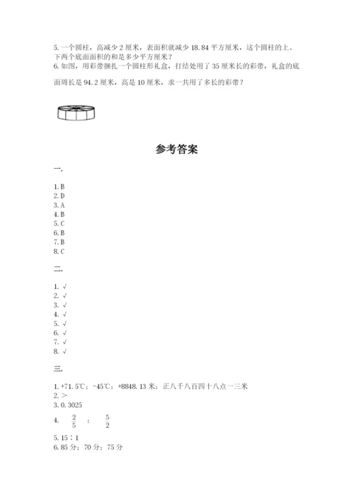 人教版数学六年级下册试题期末模拟检测卷【名师系列】.docx