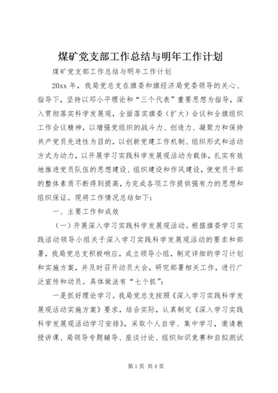 煤矿党支部工作总结与明年工作计划.docx