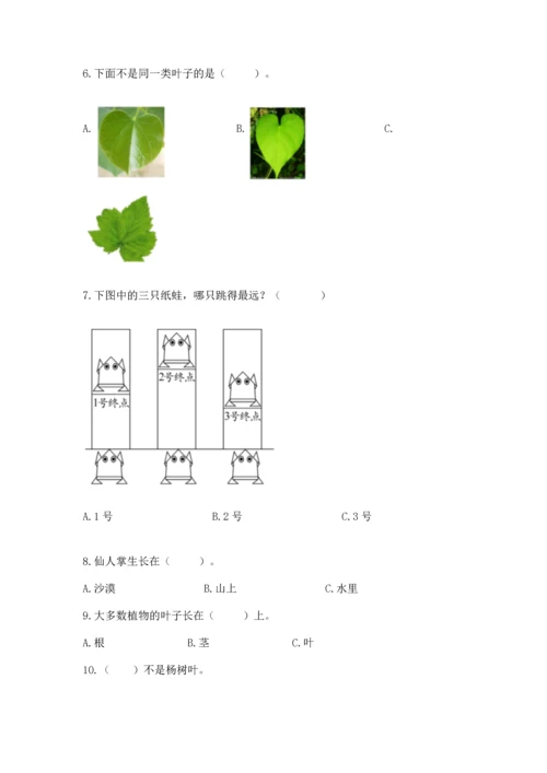 教科版一年级上册科学期末测试卷附参考答案（考试直接用）.docx