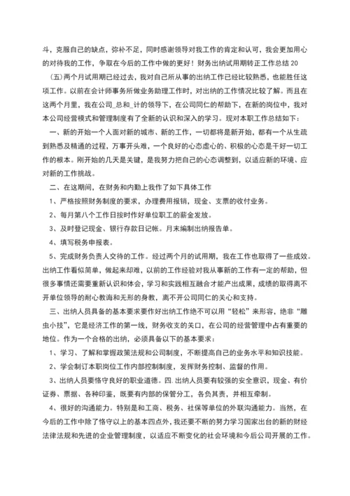 财务出纳试用期转正工作总结.docx