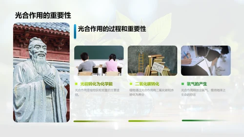 科学之旅：探索自然秘密