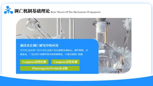蓝绿色简约风生物学毕业答辩ppt模板