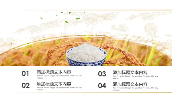 健康绿色有机大米农业粮食推广销售PPT模板