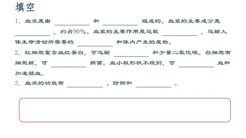 4.4.1流动的组织──血液课件(共27张PPT)人教版七年级下册