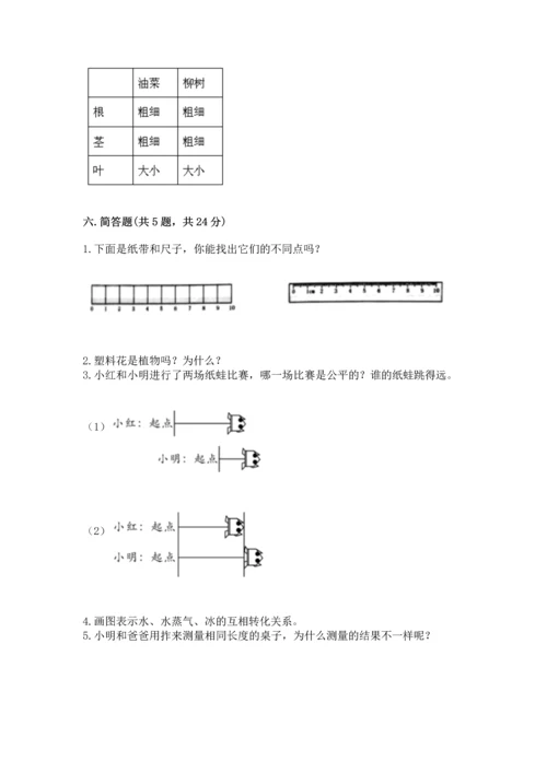 教科版科学一年级上册期末测试卷【考点提分】.docx