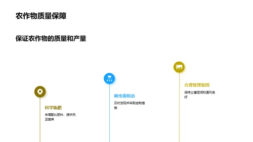 秋季农田科技管理