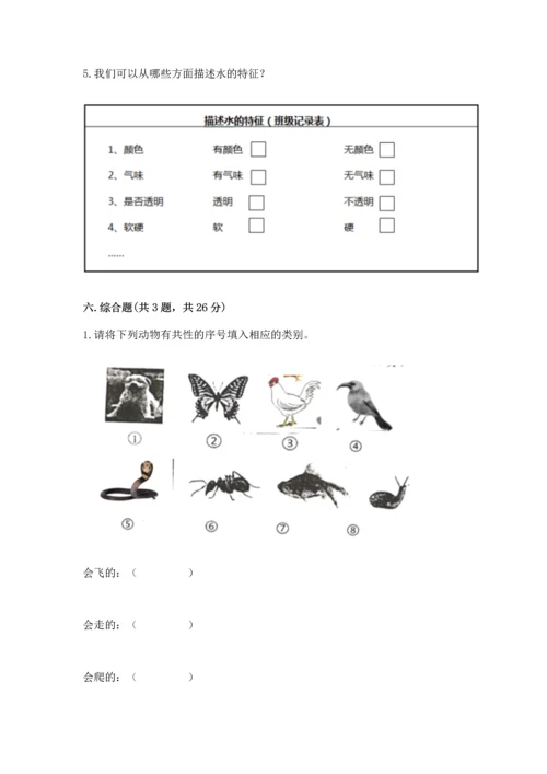 教科版一年级下册科学期末测试卷精品【模拟题】.docx