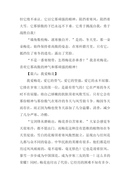 我爱梅花作文.docx