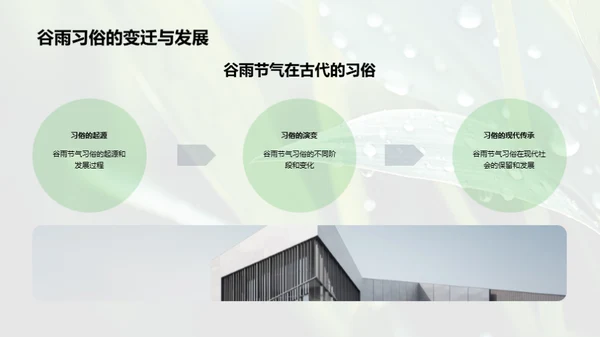 谷雨节气的魅力