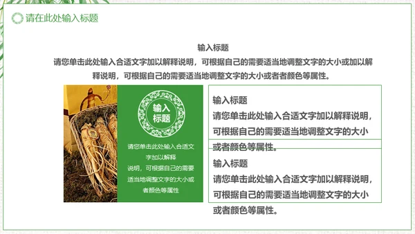 中草药中药人参通用PPT模板