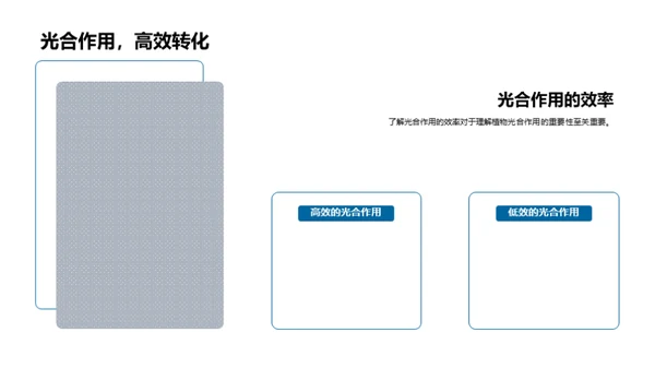 揭秘光合作用