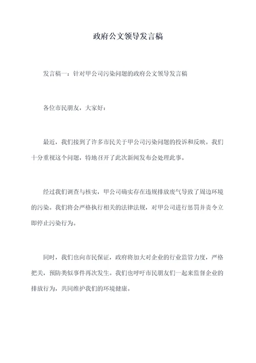 政府公文领导发言稿