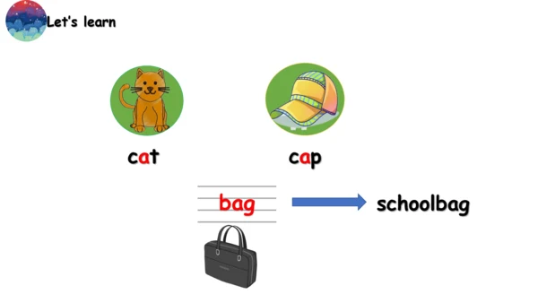 Module 8 Unit 2 Where's the cat？课件（共30张PPT）
