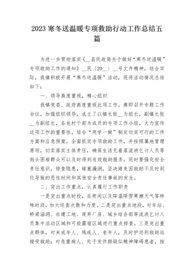 2023寒冬送温暖专项救助行动工作总结五篇.docx