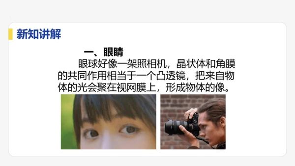5.4  眼睛与眼镜  课件