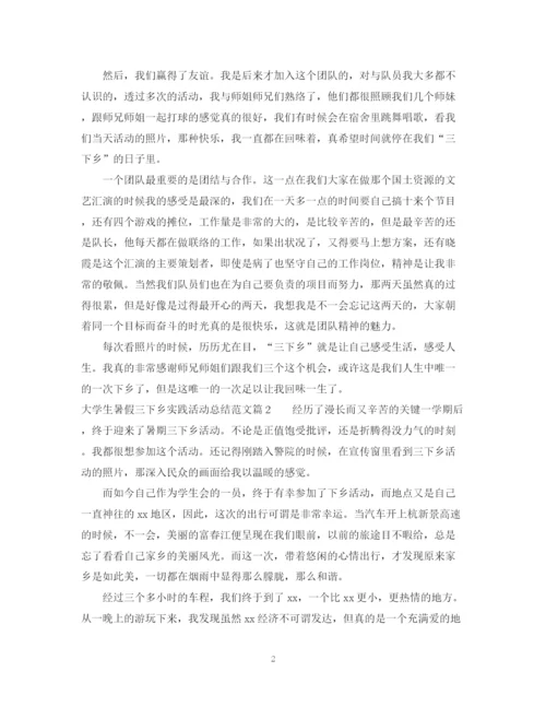 精编之大学生暑假三下乡实践活动总结范文.docx