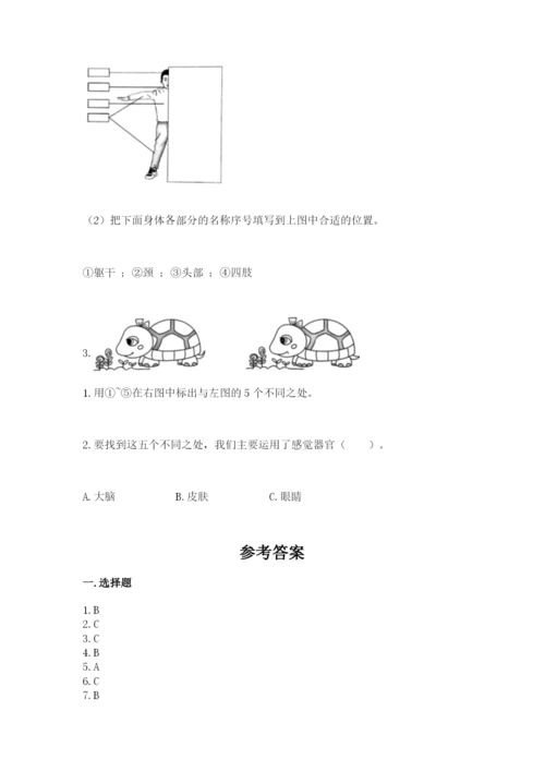 教科版二年级下册科学期末测试卷【基础题】.docx