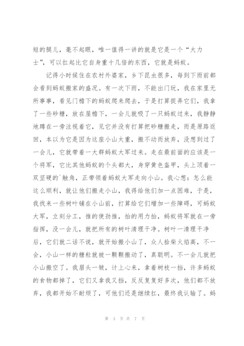 实用的蚂蚁团结作文六篇范文.docx